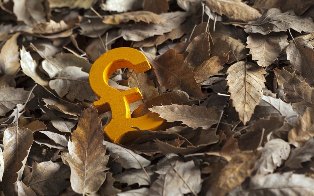 mortgage broker Guildford