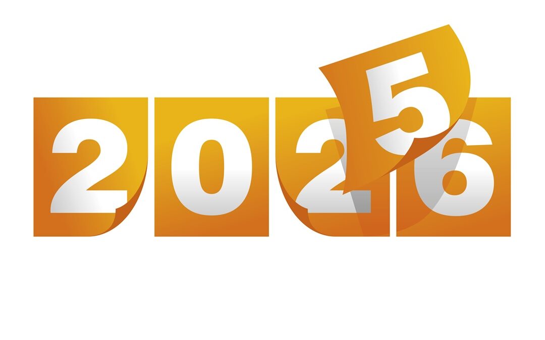 Looking back on 2025