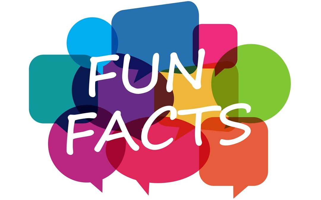 mortgage broker Guildford